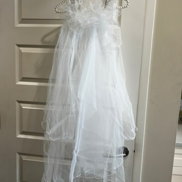 Beautiful Wedding Veil